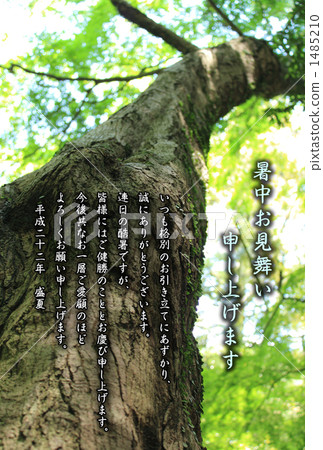 Powerful tree Powerful tree 1485210