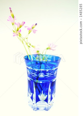 雕花玻璃 花朵 花 1485285