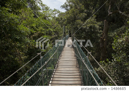 拉明頓國家公園 拉明頓國家公園 1486685