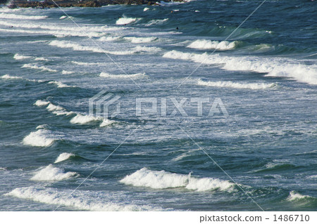 Currumbin Beach Currumbin Beach 1486710