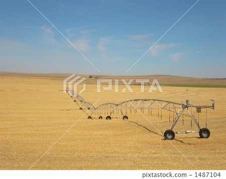 用大規模種植園灑水 用大規模種植園灑水 1487104
