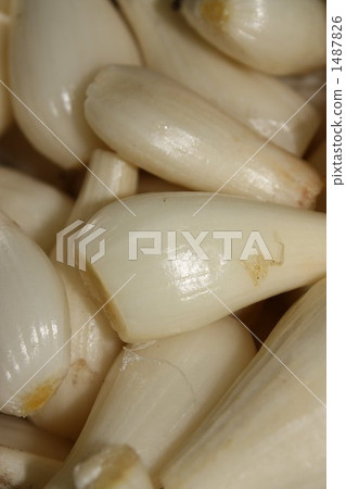 japanese leek, allium chinense, pickled scallions 1487826