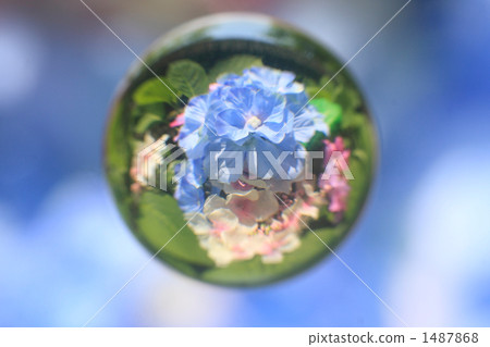 大理石透鏡 球體 六月 1487868