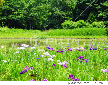 This season has come This season has come 1487920