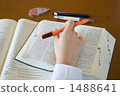 Studying English 1488641