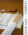 Studying English 1488651
