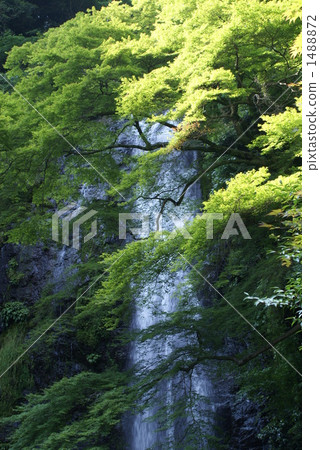 Meiji no Mori Minō Quasi-National Park, babble, small stream 1488872