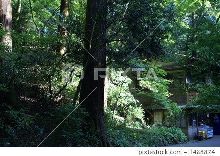 Meiji no Mori Minō Quasi-National Park, building, buildings 1488874
