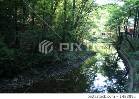 Meiji no Mori Minō Quasi-National Park, brook, creek 1488893