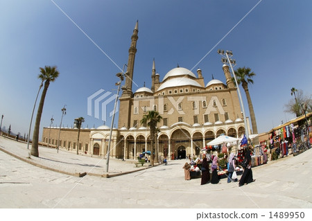 穆罕默德阿里清真寺的全景 1489950