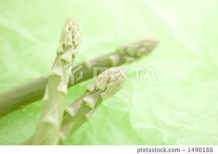 Green asparagus Green asparagus 1490188