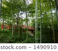 竹叢 修善寺 黃綠色 1490910