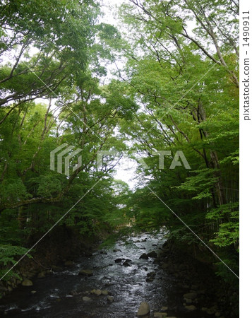 katsura river, clear stream, rivers 1490911