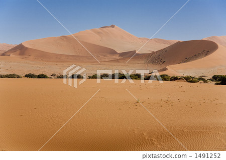 納米布沙漠 1491252
