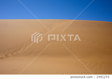 Namib Desert 1491255