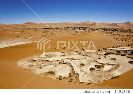 Namib Desert 1491256