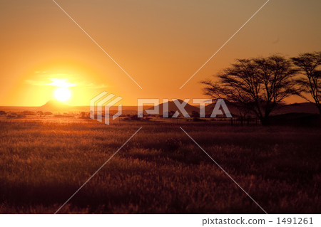 沙漠日落 沙漠日落 1491261