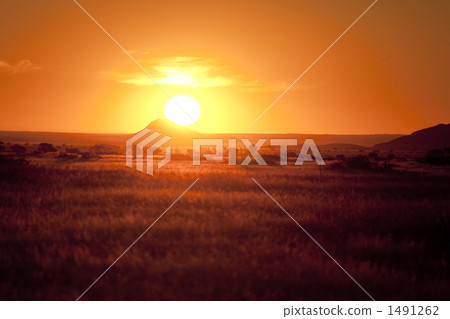 沙漠日落 1491262