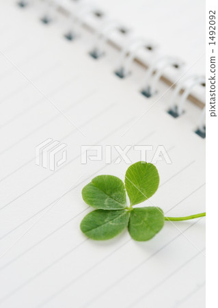 Four leaf clover Ⅱ 1492092