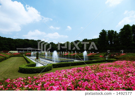 Jindai Botanic Gardens 1492577