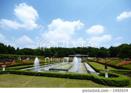 金代植物園 金代植物園 1492634