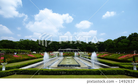 Jindai Botanic Gardens 1492637