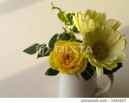 迷你花束 迷你花束 1492687