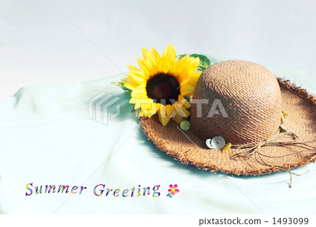 炎熱的夏季 1493099