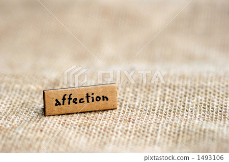 單詞 英語詞 碎片 1493106