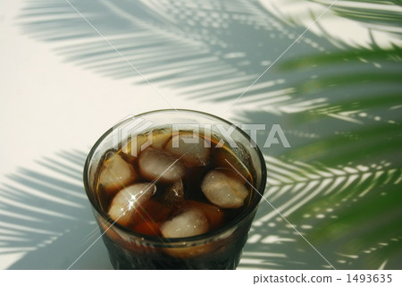 beverage, green leaf, cycad 1493635