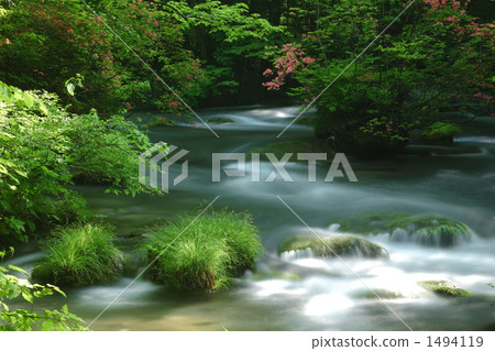 Oirase stream 1494119