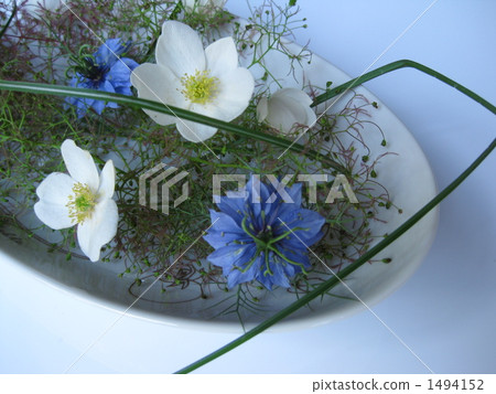 Early summer flower arrangement Early summer flower arrangement 1494152