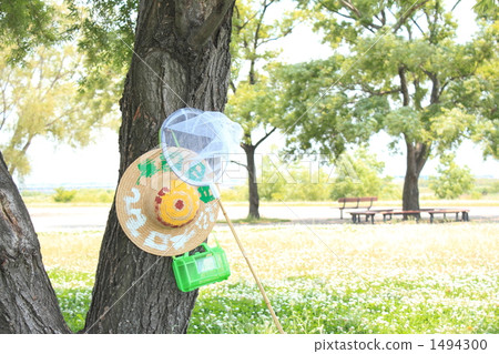straw hat, bug catcher, insect cage 1494300