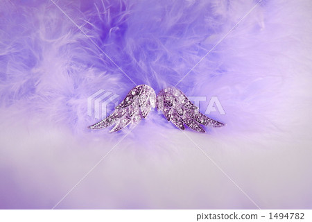 feather, wing, accessories 1494782