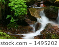 Fresh green valley 1495202