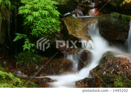 Fresh green valley 1495202