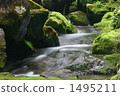 Moss and valley 1495211