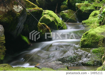 Moss and valley 1495211
