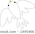 dove, bird, birds 1495466