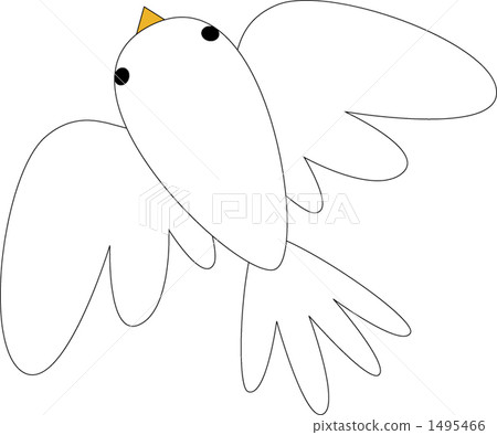 鴿子 鴿 鳥兒 1495466