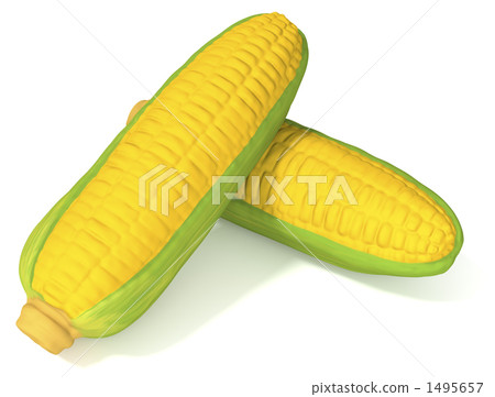 玉米 1495657