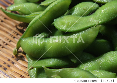 毛豆 綠大豆 主編濾網 1495951