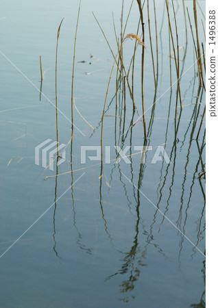 Water surface Water surface 1496388