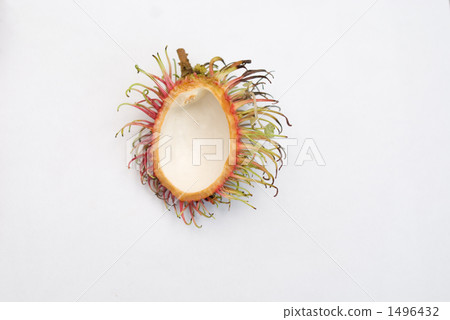 It looks like a lion! Rambutan peel It looks like a lion! Rambutan peel 1496432