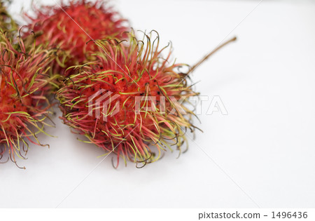 Rambutan Rambutan 1496436