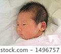 baby   1496757