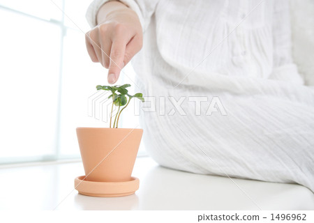 生態的形象 1496962