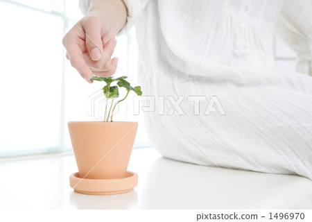 生態的形象 生態的形象 1496970