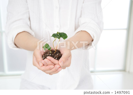 生態的形象 1497091