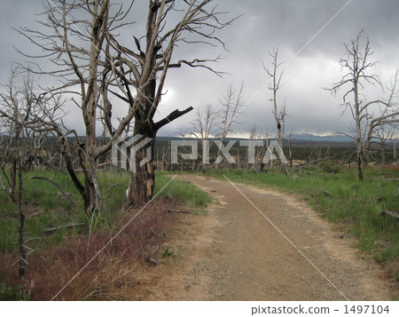 Mesa Verde National Park 1497104